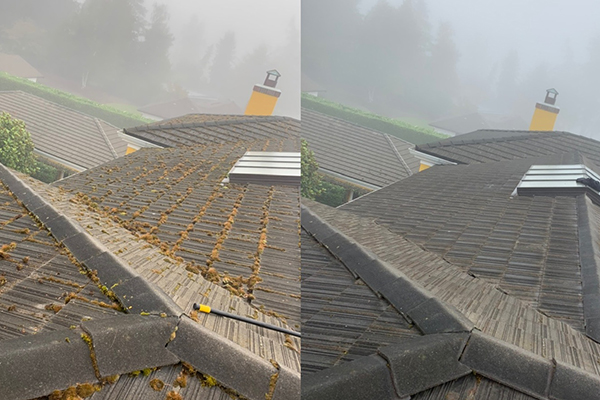 Roof Cleaning